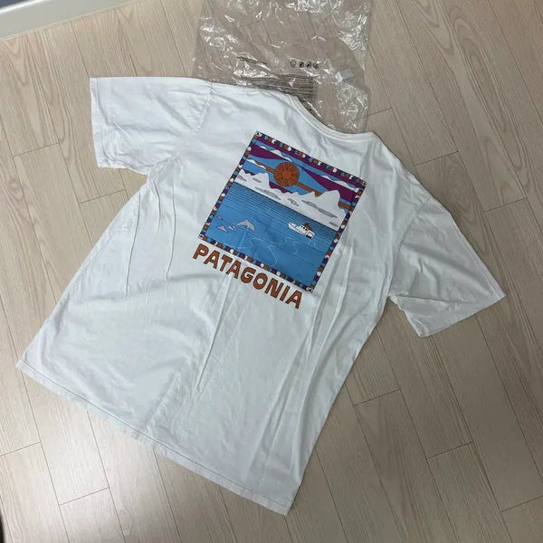 [BUNJANG] Patagonia Summit T-Shirt Birch White L / 파타고니아 써밋 반팔티셔츠 버치화이트 L