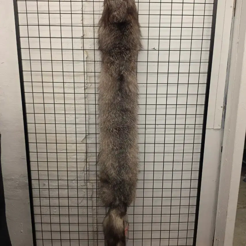[BUNJANG] Genuine Fox Fur Scarf (New) / 여우털 목도리(새제품)