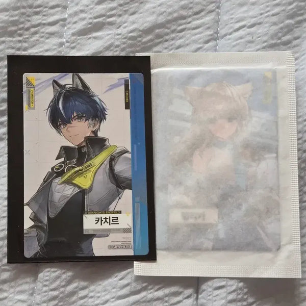 [BUNJANG] Endfield GS25 Photocard Bundle Set (Felica, Kachir) / 엔드필드 GS25 포토카드 펠리카, 카치르 일괄