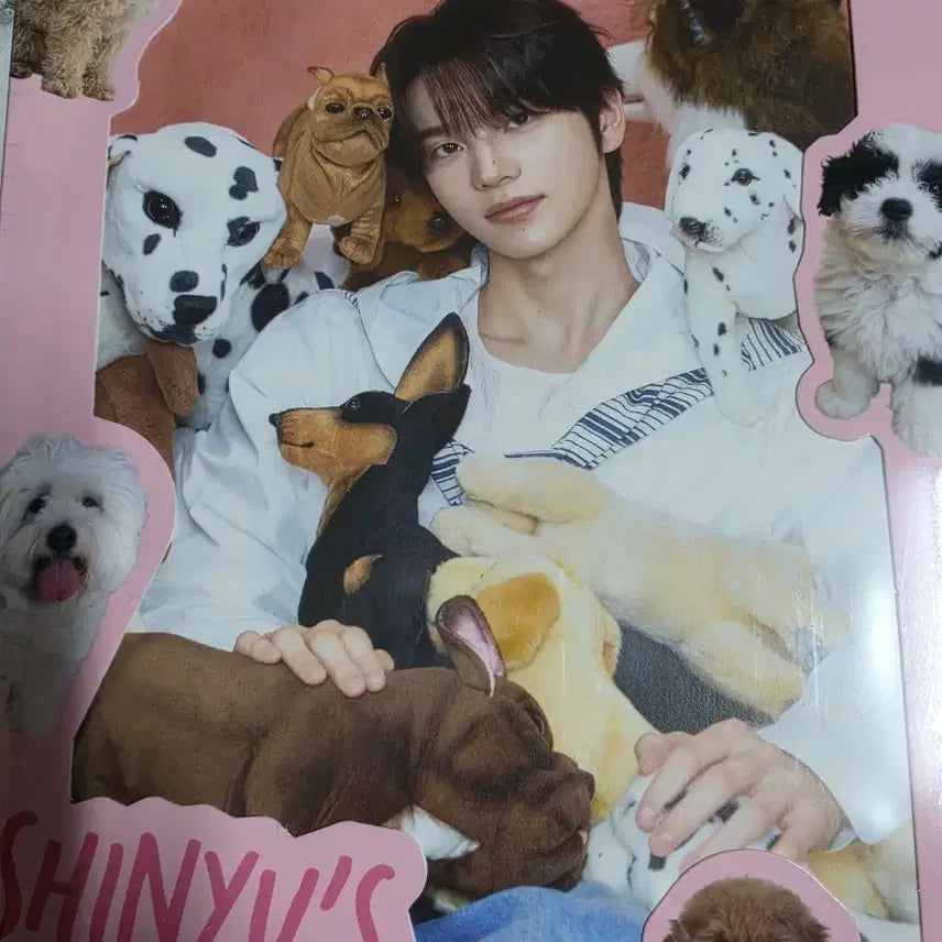 [BUNJANG] SHINYU SHINYU'S FAVORITE BOX Photocard Set / 신유 생일 박스 SHINYU'S FAVORITE BOX