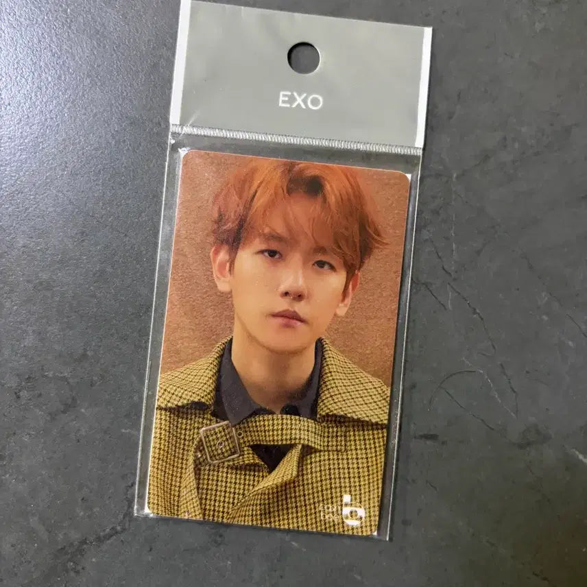 [BUNJANG] Baekhyun Transportation Card / 백현 교통카드