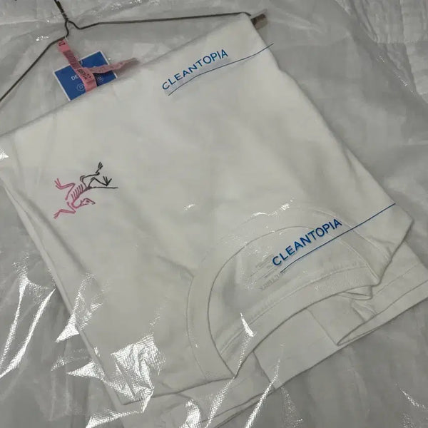 [BUNJANG] Arc'teryx Krag T-Shirt White XL / 아크테릭스 크래그 반팔 티셔츠 화이트 (XL)