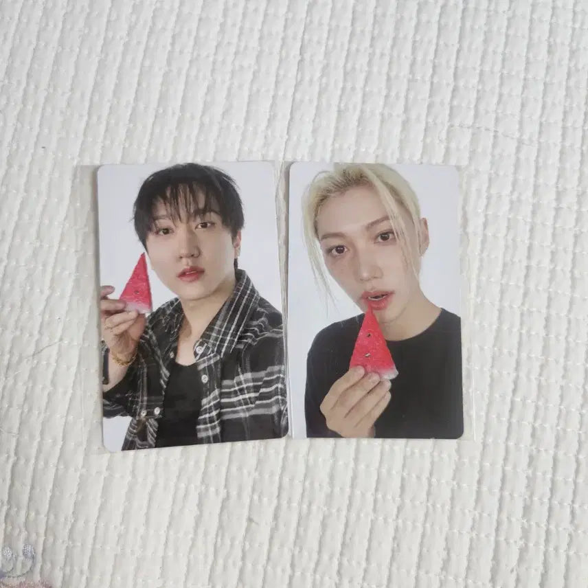 [BUNJANG] Stray Kids This&That Bundle Set Felix Changbin / 스트레이키즈 스키즈 디스앤댓 팬즈샵 필릭스 창빈 일괄 this&that