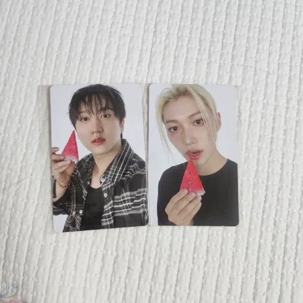 [BUNJANG] Stray Kids This&That Bundle Set Felix Changbin / 스트레이키즈 스키즈 디스앤댓 팬즈샵 필릭스 창빈 일괄 this&that
