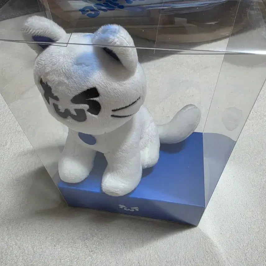 [BUNJANG] TWS 'Daewangtounyi' Fan Meeting Special Gift / TWS 투어스 대왕투냥이 미팬 역조공