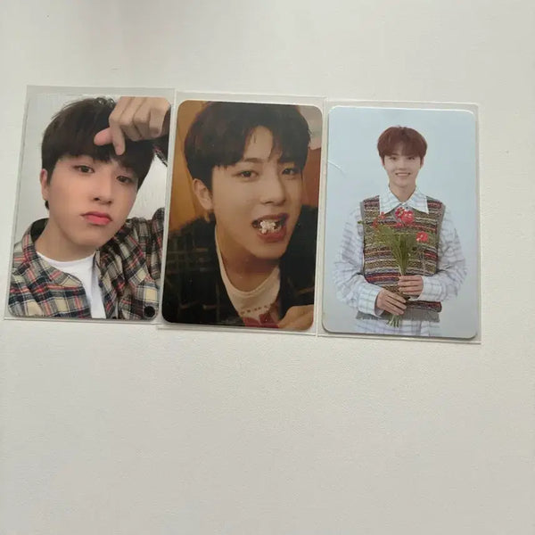 [BUNJANG] TREASURE Bundle Set Photocard / 트레저 포카