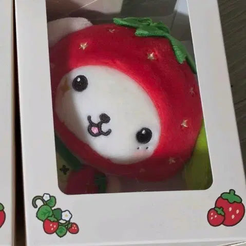 [BUNJANG] NCT WISH Strawberry Wish Doll Ryo / NCT WISH 위시베리 베이커리 팝업 딸기위시돌 룐룐
