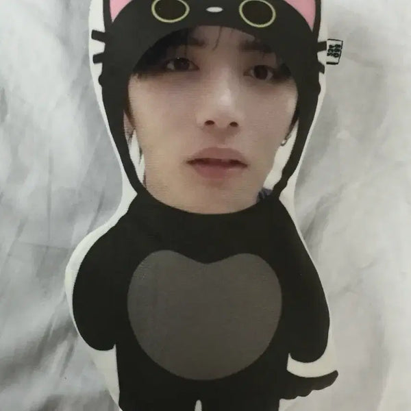 [BUNJANG] BOYNEXTDOOR Taesan Cat Plush Doll / 보이넥스트도어 보넥도 고양이 태산 인형