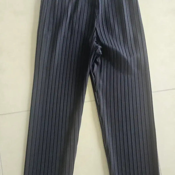 [BUNJANG] Homme Plissé Issey Miyake Edge Pants (Previous Version) / 옴므플리세 엣지 전버전 입니다.