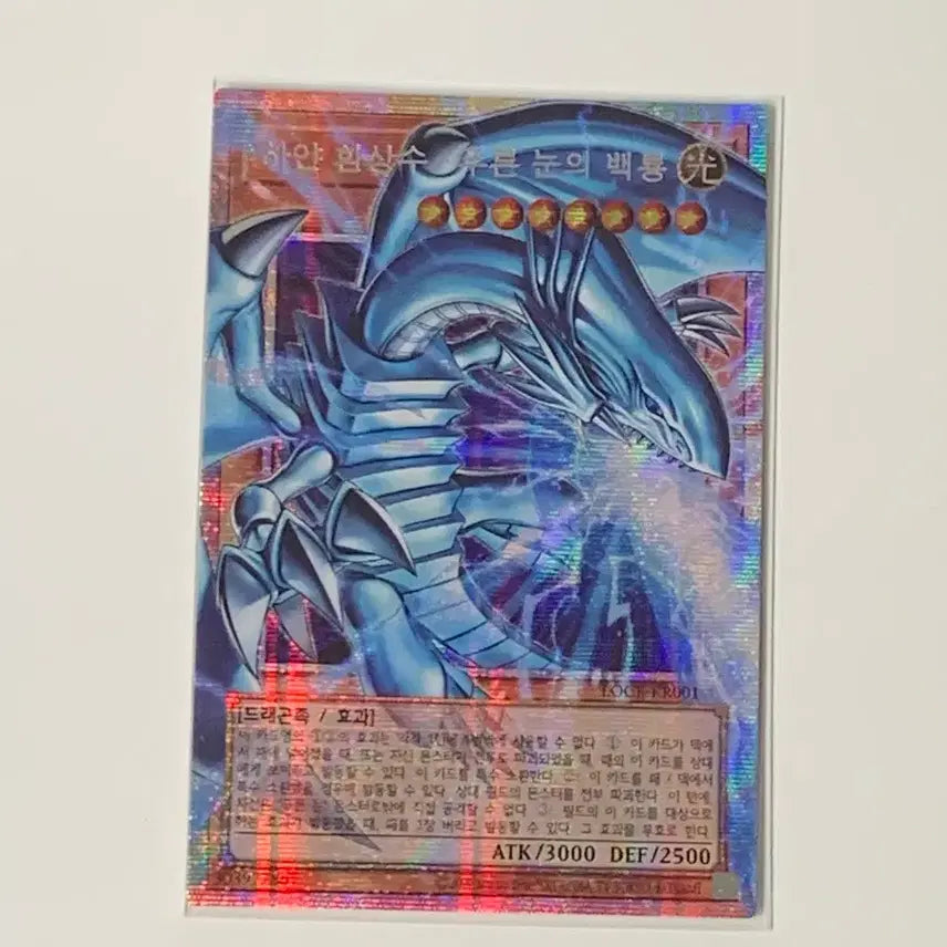 [BUNJANG] Yu-Gi-Oh! White Fantasy Beast Blue-Eyes White Dragon Oversized Card / 유희왕 하얀 환상수 푸른 눈의 백룡 오버프싴 카드