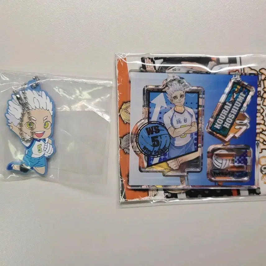 [BUNJANG] Haikyuu!! Hoshiumi Korai Acrylic Stand & Rubber Strap Set / 하이큐 호시우미 코라이 피규어 컬렉션 아크릴 원화 굿즈 러버스트랩