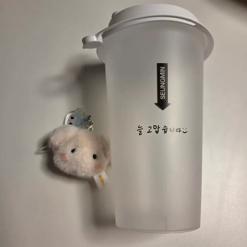 [BUNJANG] Stray Kids Leebit Reusable Cup & Puffy Mini Keyring Set / 스키즈 입장기프트 퍼핌키링+리유저블컵 승민