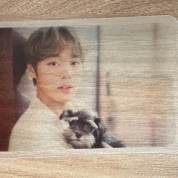 [BUNJANG] Wanna One Park Ji Hoon DICON Photocard / 워너원 박지훈 디아이콘 포카