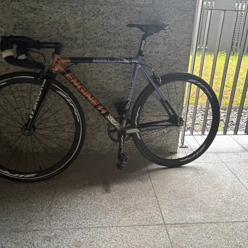[BUNJANG] Engine11 Golden Chaos Bicycle Frame / 엔진11 골든 카오스