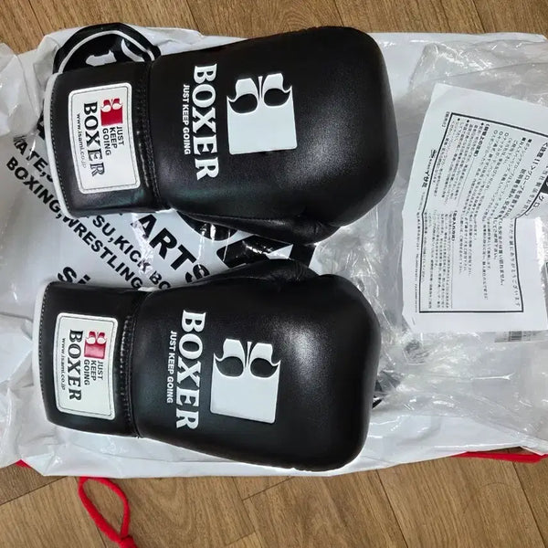 [BUNJANG] Isami 10oz Professional Boxing Gloves Black / 이사미 복서 글러브 10온스 블랙