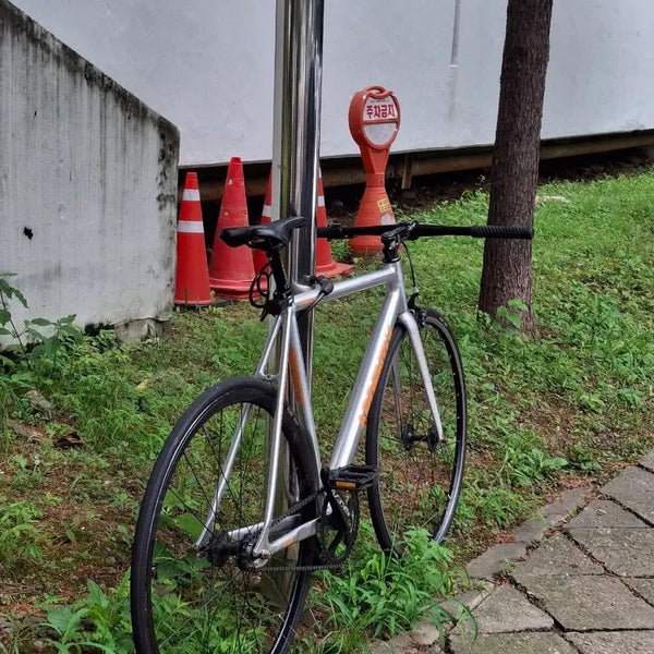 [BUNJANG] Ardently Complete Bicycle L Size / 아르덴틀리 완차 무하자급(급처)