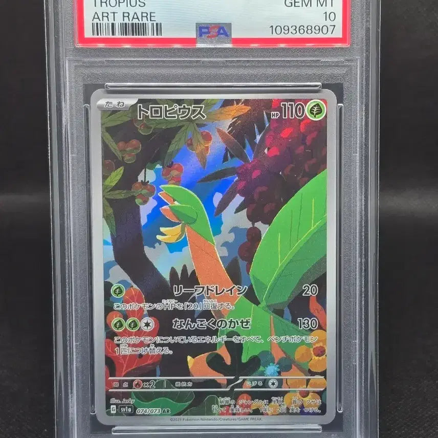 [BUNJANG] Pokemon Card Tropius AR PSA 10 Japanese / [PSA10] 포켓몬카드 일판 트로피우스 AR