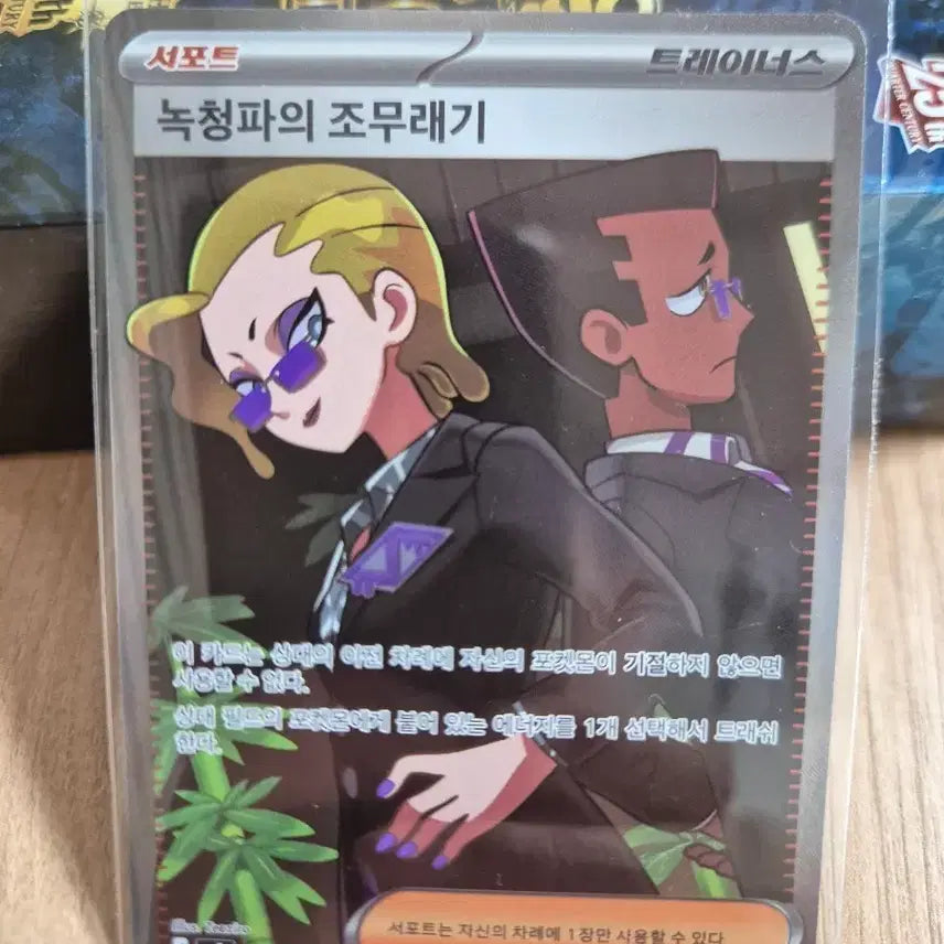 [BUNJANG] Pokemon Card Team Magma Grunt SR / 포켓몬카드 녹청파의 조무래기 SR