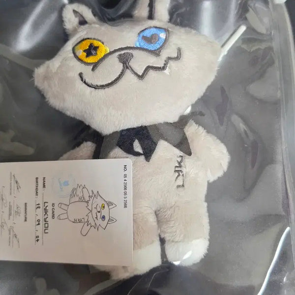 [BUNJANG] GMM Live Q Doll / gmm 라이큐 인형 양도