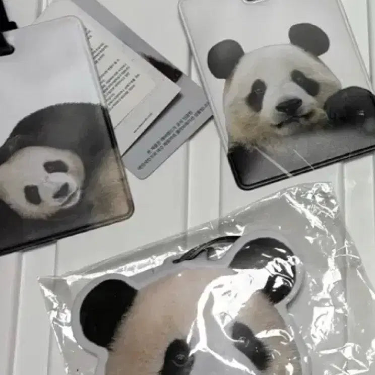 [BUNJANG] Fu Bao 8 Seconds Nametag Bundle Set / 푸바오 8초 네임택 러아푸 일괄