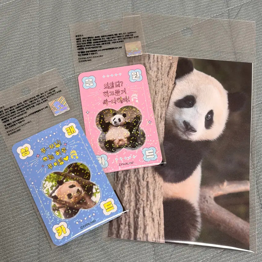 [BUNJANG] Fu Bao Postcard & Photocard Bundle Set / 푸바오 엽서, 포카 일괄