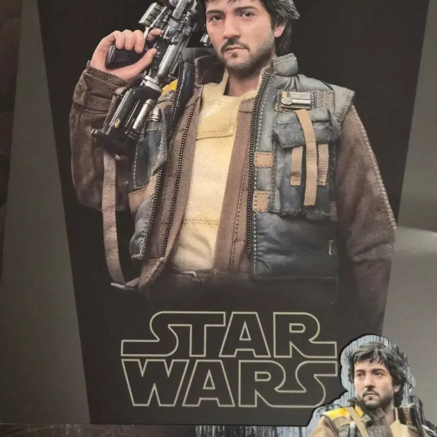 [BUNJANG] Hot Toys MMS802 Cassian Andor Figure / 핫토이 mms802 카시안 안도르