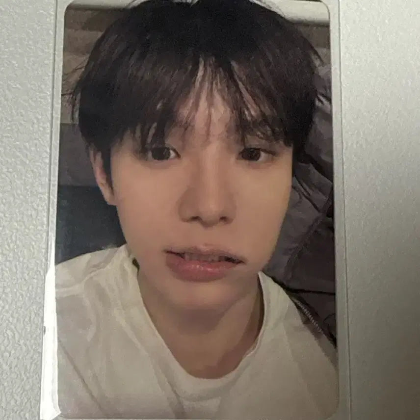 [BUNJANG] Shotaro Fame Chamber Version Photocard / 쇼타로 페임 Chamber 버전 포카 판매