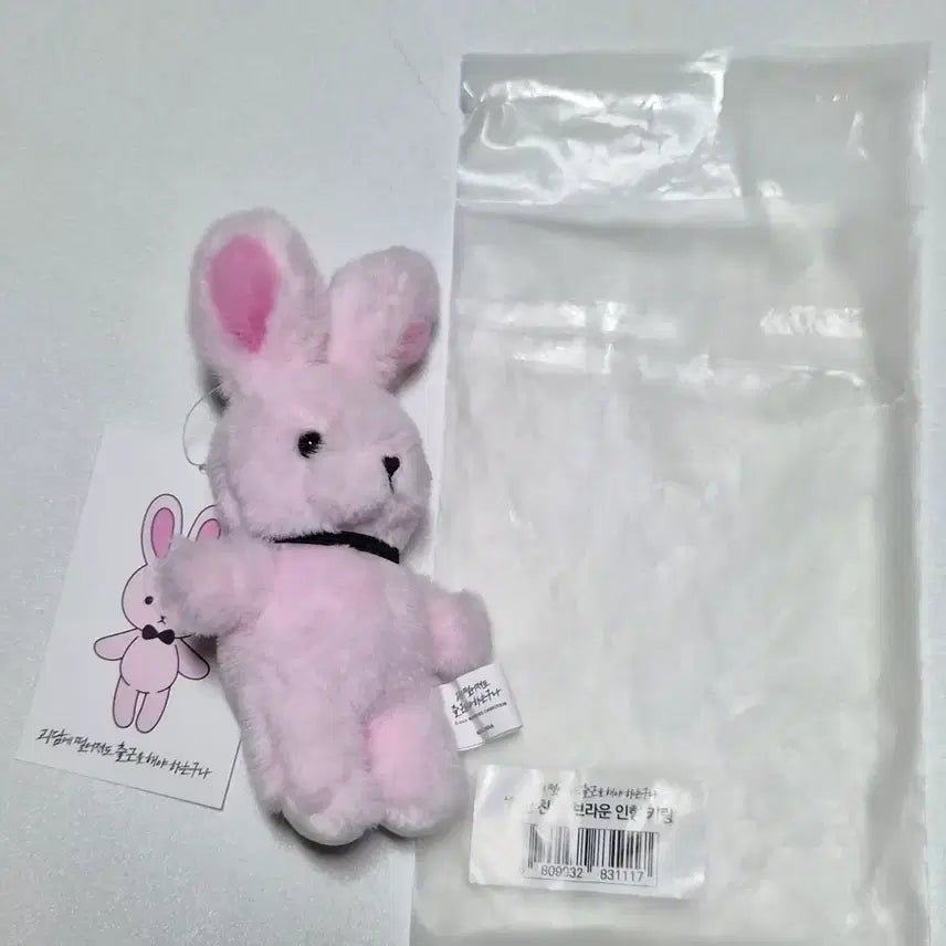 [BUNJANG] Line Friends Brown Ghost Office Doll / 괴담출근 브라운 인형