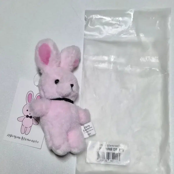 [BUNJANG] Line Friends Brown Ghost Office Doll / 괴담출근 브라운 인형