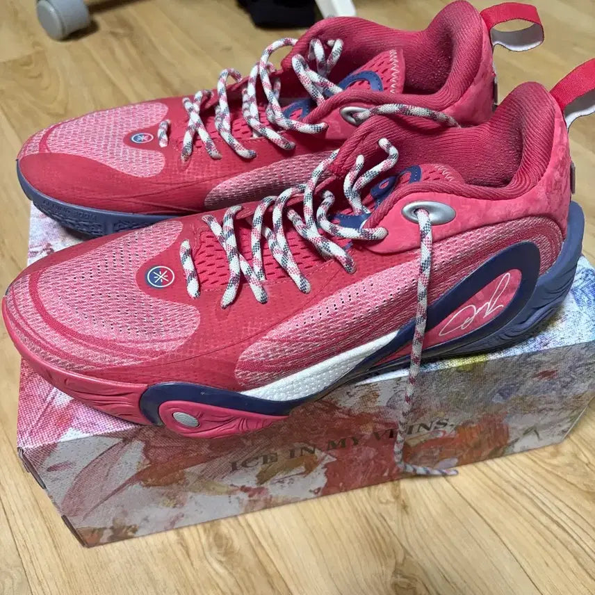 [BUNJANG] Li-Ning DLO1 D'Angelo Russell Basketball Shoes / 리닝 dlo1 디안젤로 러셀 농구화 270 판매합니자