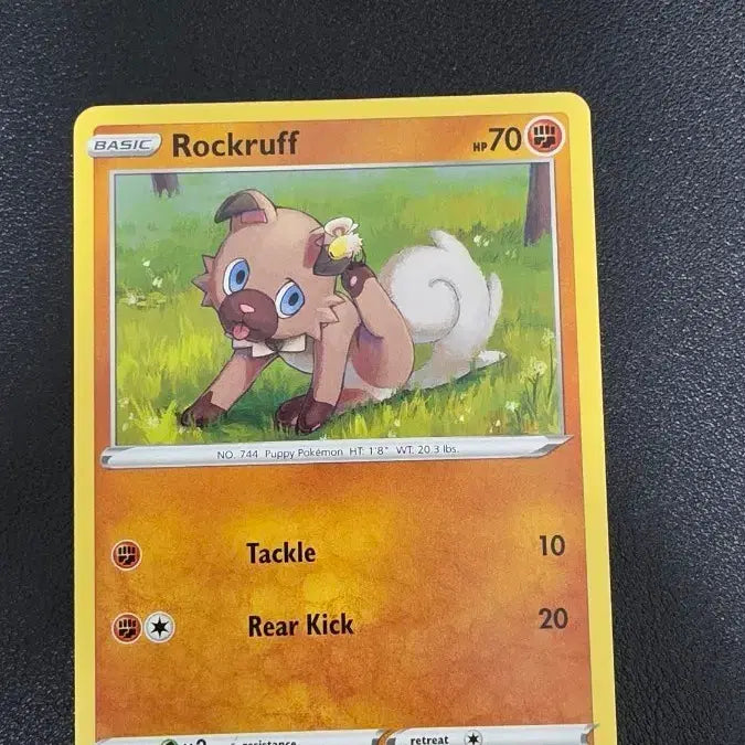 [BUNJANG] Pokemon Card North America Rockruff / 포켓몬 카드 북미 암멍이