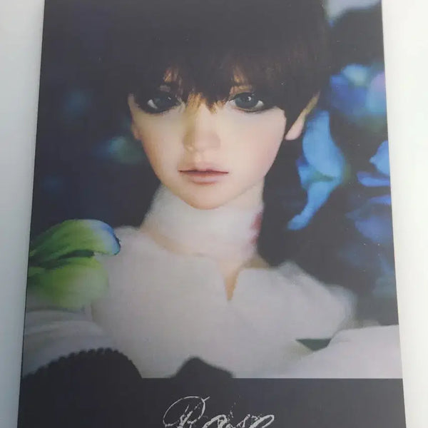 [BUNJANG] Switch La Vie En Rose Storybook / 스위치 라비앙로즈 스토리북 나눔