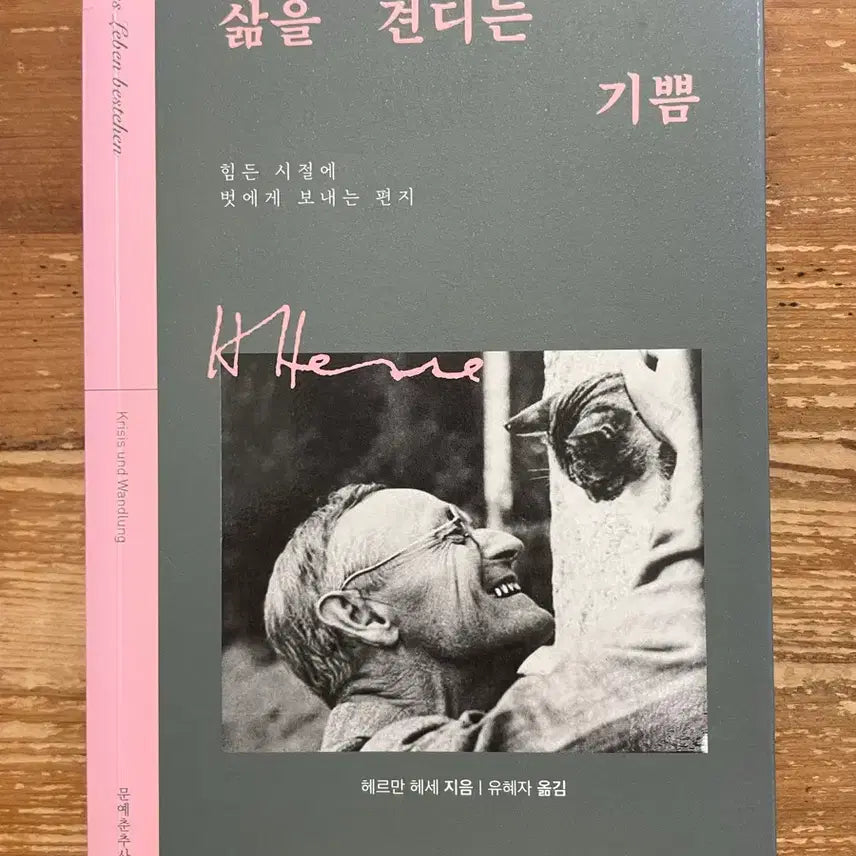 [BUNJANG] The Joy of Enduring Life - Hermann Hesse / 삶을 견디는 기쁨 - 헤르만 헤세