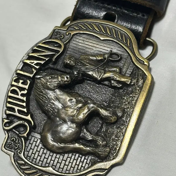 [BUNJANG] Vintage Shireland Horse Buckle Leather Belt / 빈티지 Shireland 말 버클 벨트
