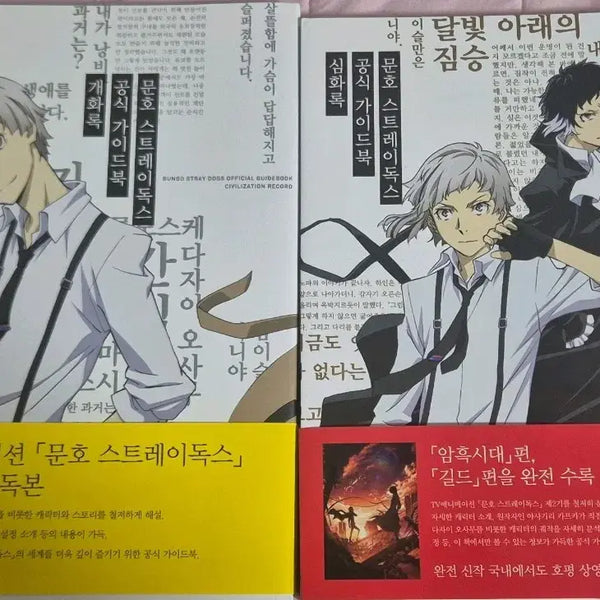 [BUNJANG] Bungo Stray Dogs Guidebook (Kaewharok, Shimhwahok) Bundle / 문스독 가이드북 개화록 심화록 일괄 판매