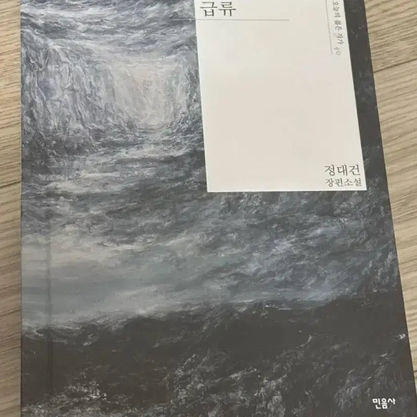 [BUNJANG] Jeong Dae-geun 'Fast Current' Book / 급류 책 판매