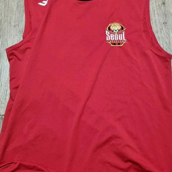 [BUNJANG] FC Seoul Sleeveless Training Jersey / fc서울 나시 트레이닝복