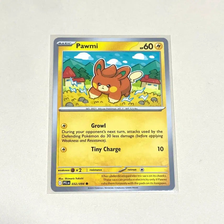 [BUNJANG] Pokemon Cards North America English Version / (포켓몬카드) 북미 빠모 (영판, 영어판)