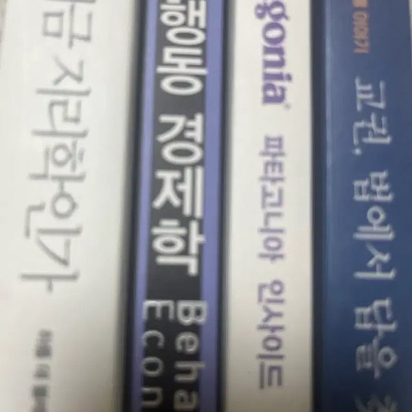 [BUNJANG] Behavioral Economics, Patagonia Inside, Why Geography Now, The Answer Lies in Education Law, Books / 행동경제학 파타고니아 인사이드 왜 지금 지리학인가 교권 법에서 답을 찾다 책