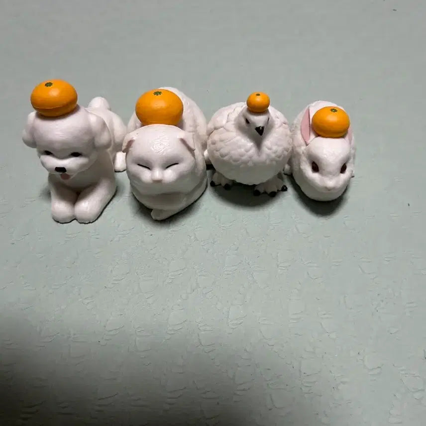 [BUNJANG] Mochi Orange Animal Gacha Bundle Set / 모찌 귤동물 가챠 일괄