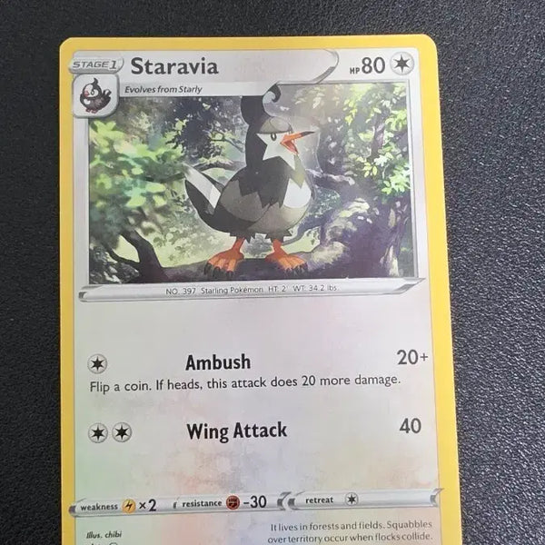 [BUNJANG] Pokemon Card North America Zapdos / 포켓몬 카드 북미 찌르버드