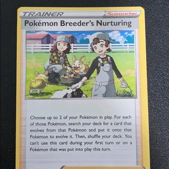 [BUNJANG] Pokemon Trading Card Game - North American Pokemon Breeder's Collection / 포켓몬 카드 북미 포켓몬 브리더의 육성