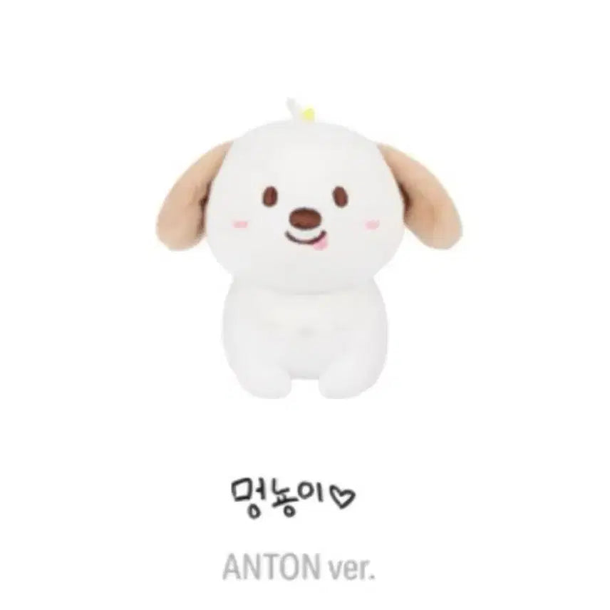 [BUNJANG] RIIZE Anton "Meongryong" 1st Gen 10cm Doll / 라이즈 RIIZE 앤톤 리라즈 멍룡이 1기 10cm