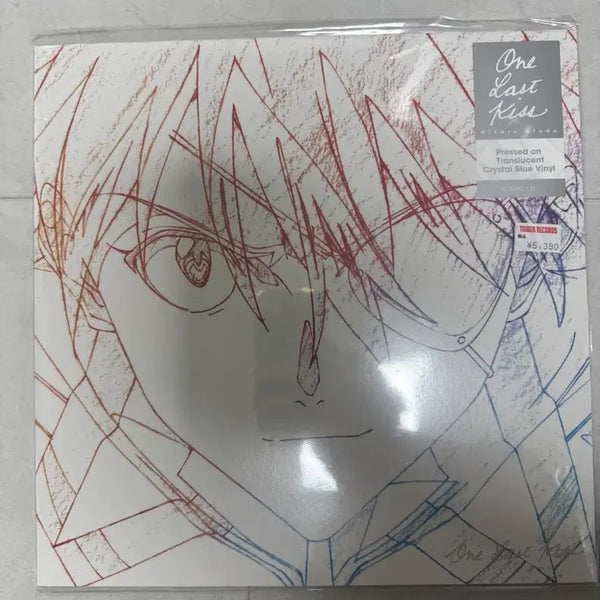 [BUNJANG] Evangelion Vinyl Record / 에반게리온 lp