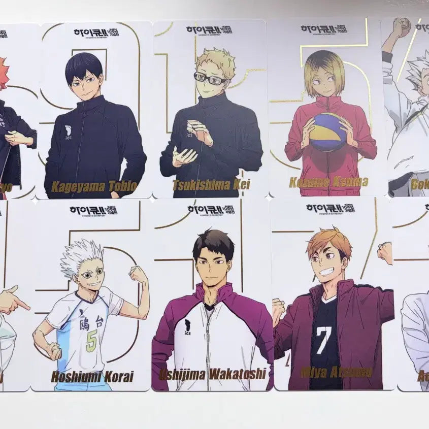 [BUNJANG] Haikyuu!! 10th Anniversary Exhibition Lucky Draw Photocard Complete Set / 하이큐 10주년 기념전 럭드 포카 올클 세트판매합니다!!