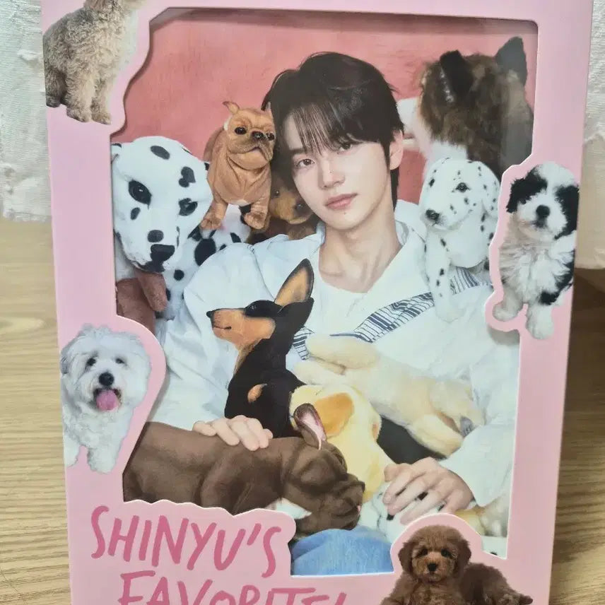 [BUNJANG] TWS Shinyu Birthday Box Squash Set / 투어스 신유 생일박스
