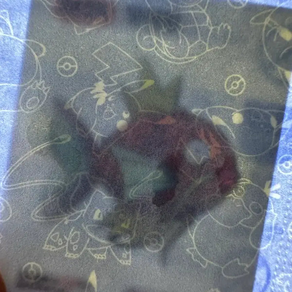 [BUNJANG] Pokemon 30th Anniversary "Tti-bu-ssil" Sticker Magikarp (Sealed) / [미개봉 새상품] 포켓몬 30주년 띠부씰 스티커 잉어킹