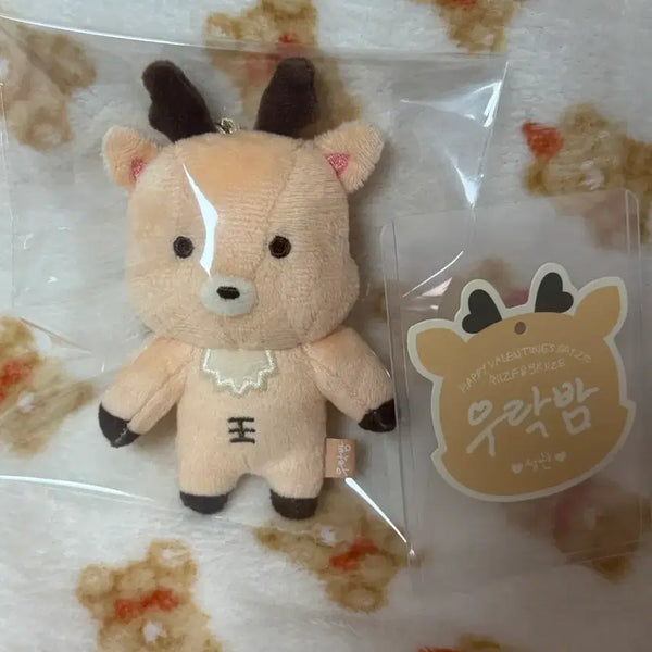 [BUNJANG] RIIZE Sungchan 10cm Doll Valentine's Day Goods / 라이즈 성찬 인형 우락밤 1기 10cm 발렌타인 굿즈 엠디 키링