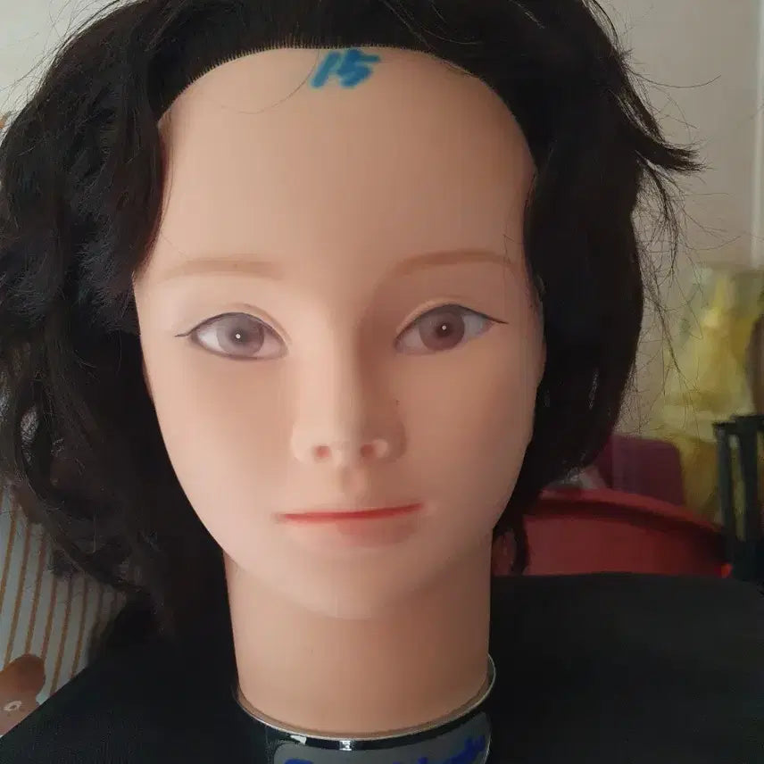 [BUNJANG] 100% Human Hair National Layered Wig Set / 인모 100% 국가레이어 통가발 6개 판매