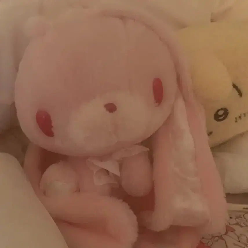 [BUNJANG] Bunny Sakura General Purpose Stand / 범용토끼 사쿠라